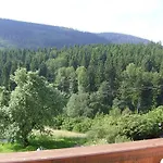 Schwarzwald-gasthof Hirsch فندق باد ويلباد