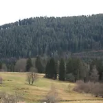 Schwarzwald-gasthof Hirsch