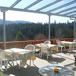 Schwarzwald-gasthof Hirsch 3* باد ويلباد