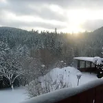 Schwarzwald-gasthof Hirsch فندق 3*