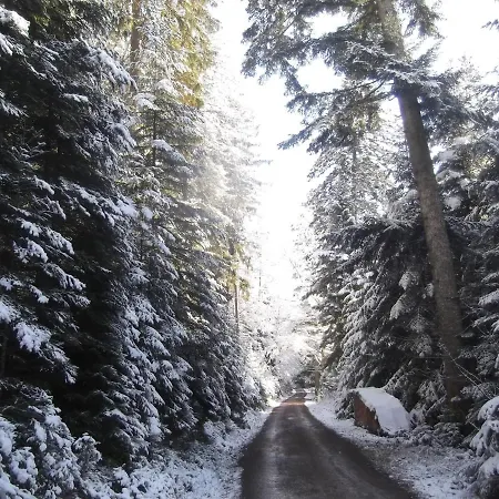 Schwarzwald-gasthof Hirsch 3* باد ويلباد