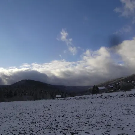 Schwarzwald-gasthof Hirsch Szálloda 3*