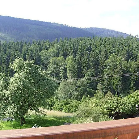 Schwarzwald-gasthof Hirsch Szálloda Bad Wildbad