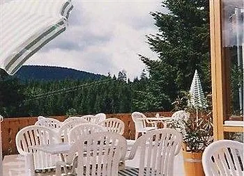 Schwarzwald-gasthof Hirsch 3*