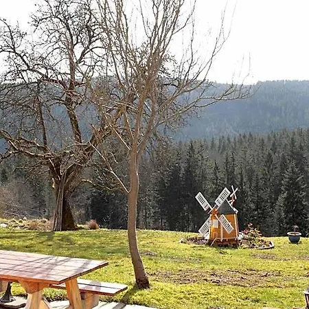 Hotel Schwarzwald-gasthof Hirsch Bad Wildbad