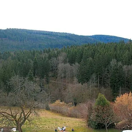 Schwarzwald-gasthof Hirsch