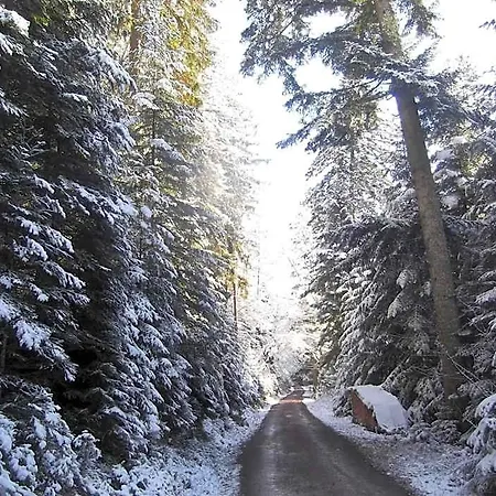 Hotel Schwarzwald-gasthof Hirsch Bad Wildbad