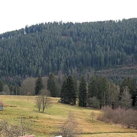 Schwarzwald-gasthof Hirsch Bad Wildbad