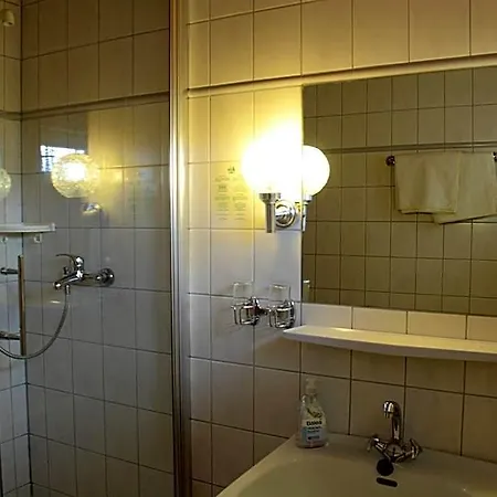 Hotel Schwarzwald-gasthof Hirsch 3*