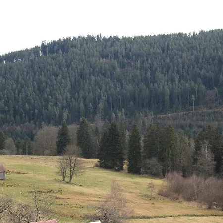Schwarzwald-gasthof Hirsch