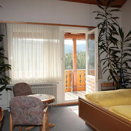 Schwarzwald-gasthof Hirsch 3*