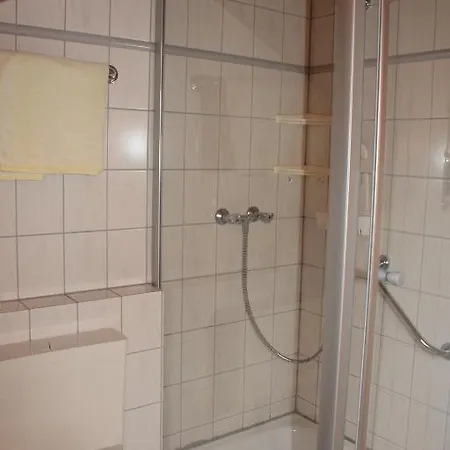 Hotel Schwarzwald-gasthof Hirsch 3*