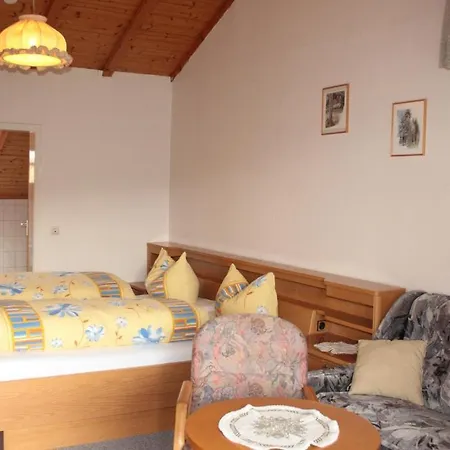 Hotel Schwarzwald-gasthof Hirsch 3*