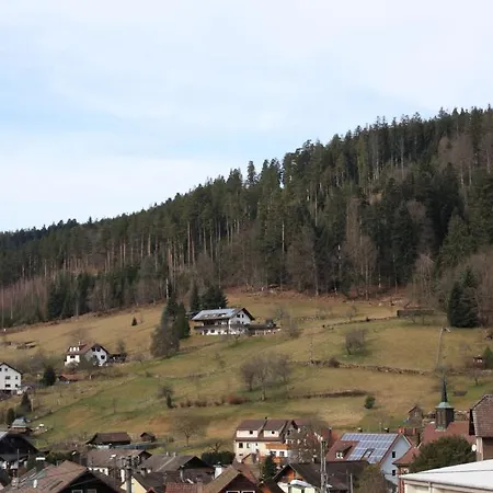 فندق Schwarzwald-gasthof Hirsch