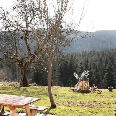 Hotel Schwarzwald-gasthof Hirsch