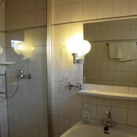 Hotel Schwarzwald-gasthof Hirsch Bad Wildbad