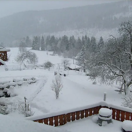 Hotel Schwarzwald-gasthof Hirsch
