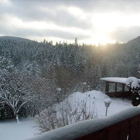 Schwarzwald-gasthof Hirsch Szálloda 3*