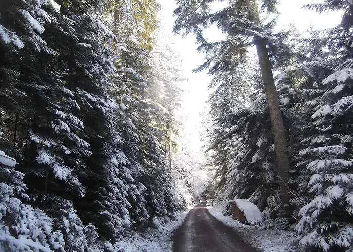 黑森林-盖斯特豪弗宜斯酒店 3* 巴特维尔德巴德