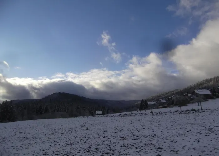 黑森林-盖斯特豪弗宜斯酒店 酒店 3*