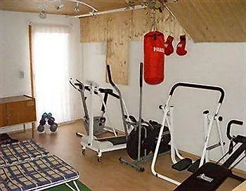 黑森林-盖斯特豪弗宜斯酒店 3*