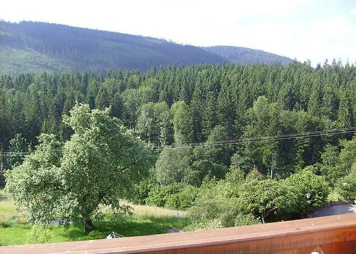 黑森林-盖斯特豪弗宜斯酒店 酒店 巴特维尔德巴德