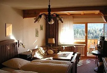 黑森林-盖斯特豪弗宜斯酒店 巴特维尔德巴德