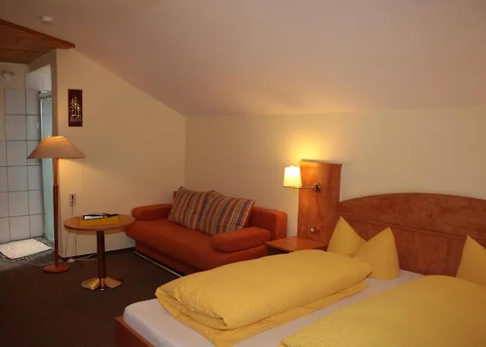 黑森林-盖斯特豪弗宜斯酒店 酒店 3*