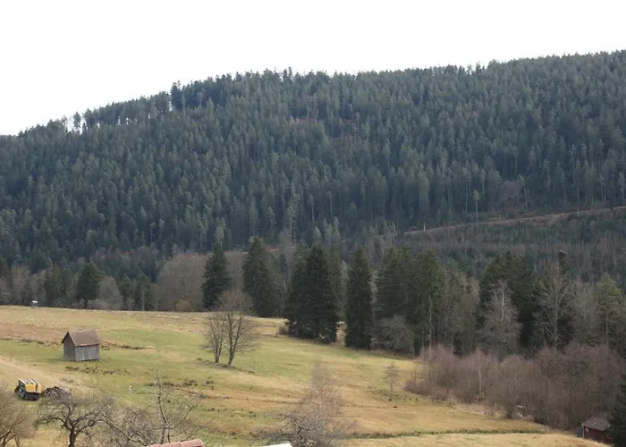 黑森林-盖斯特豪弗宜斯酒店