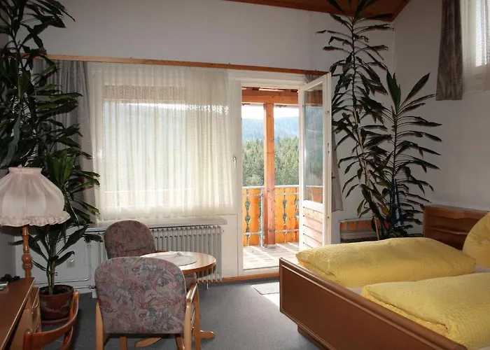 黑森林-盖斯特豪弗宜斯酒店 3*