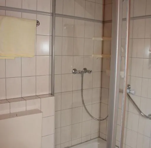 酒店 黑森林-盖斯特豪弗宜斯酒店 3*