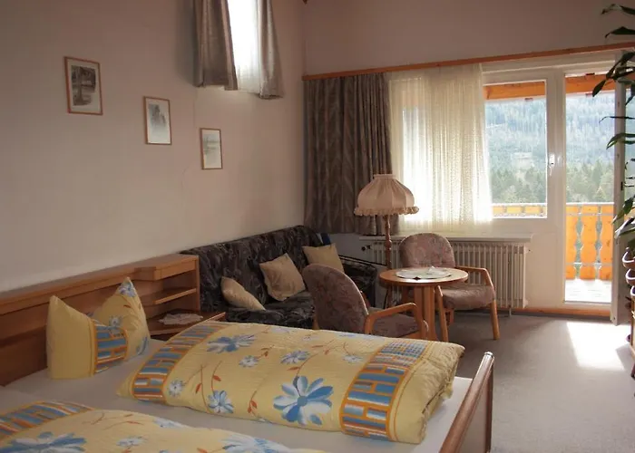 黑森林-盖斯特豪弗宜斯酒店 巴特维尔德巴德