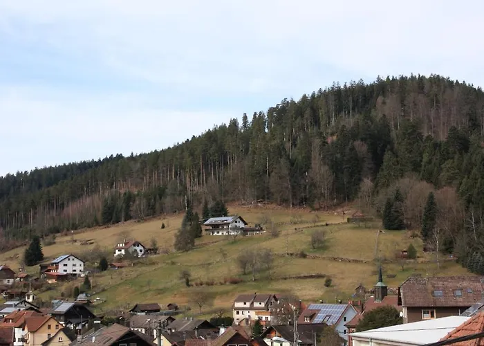 酒店 黑森林-盖斯特豪弗宜斯酒店