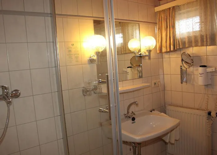 黑森林-盖斯特豪弗宜斯酒店 3* 巴特维尔德巴德