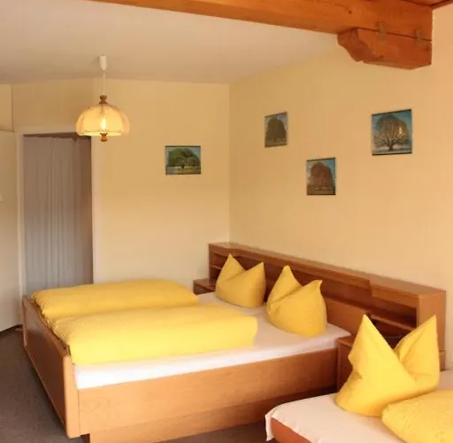 黑森林-盖斯特豪弗宜斯酒店 3* 巴特维尔德巴德