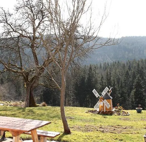 酒店 黑森林-盖斯特豪弗宜斯酒店