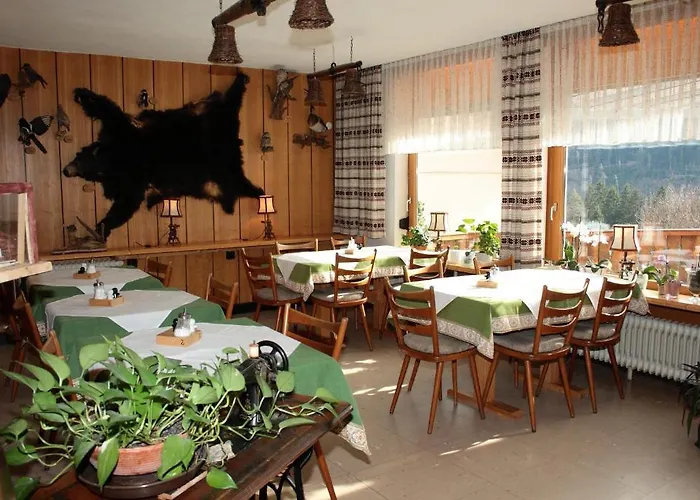 黑森林-盖斯特豪弗宜斯酒店