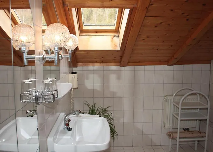 黑森林-盖斯特豪弗宜斯酒店 酒店 3*