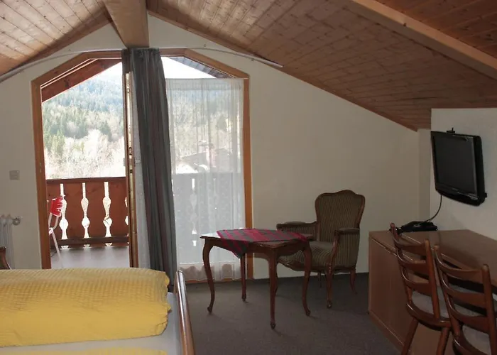 黑森林-盖斯特豪弗宜斯酒店 3*