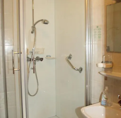 黑森林-盖斯特豪弗宜斯酒店 3*