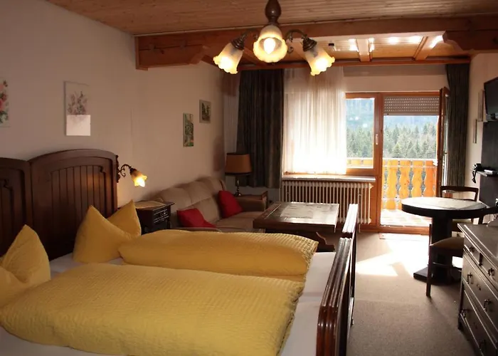 黑森林-盖斯特豪弗宜斯酒店 3*