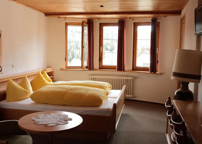 黑森林-盖斯特豪弗宜斯酒店