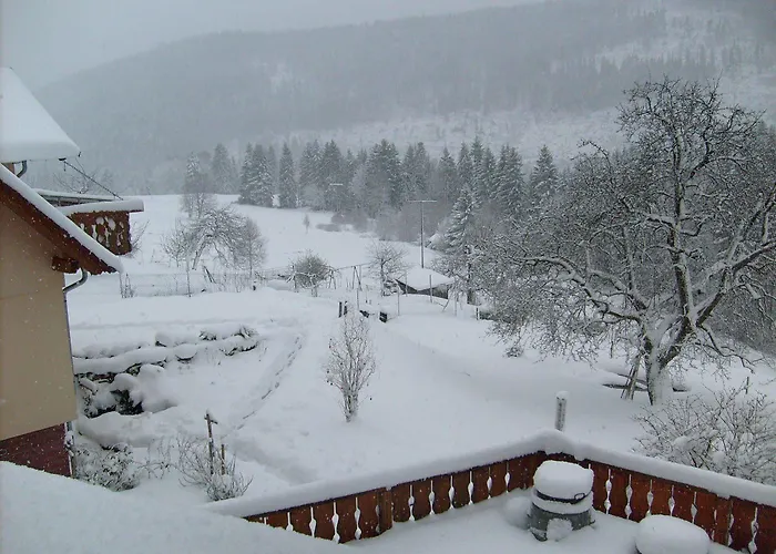 酒店 黑森林-盖斯特豪弗宜斯酒店