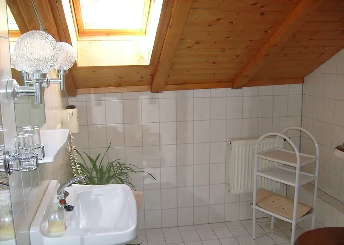 酒店 黑森林-盖斯特豪弗宜斯酒店 3*